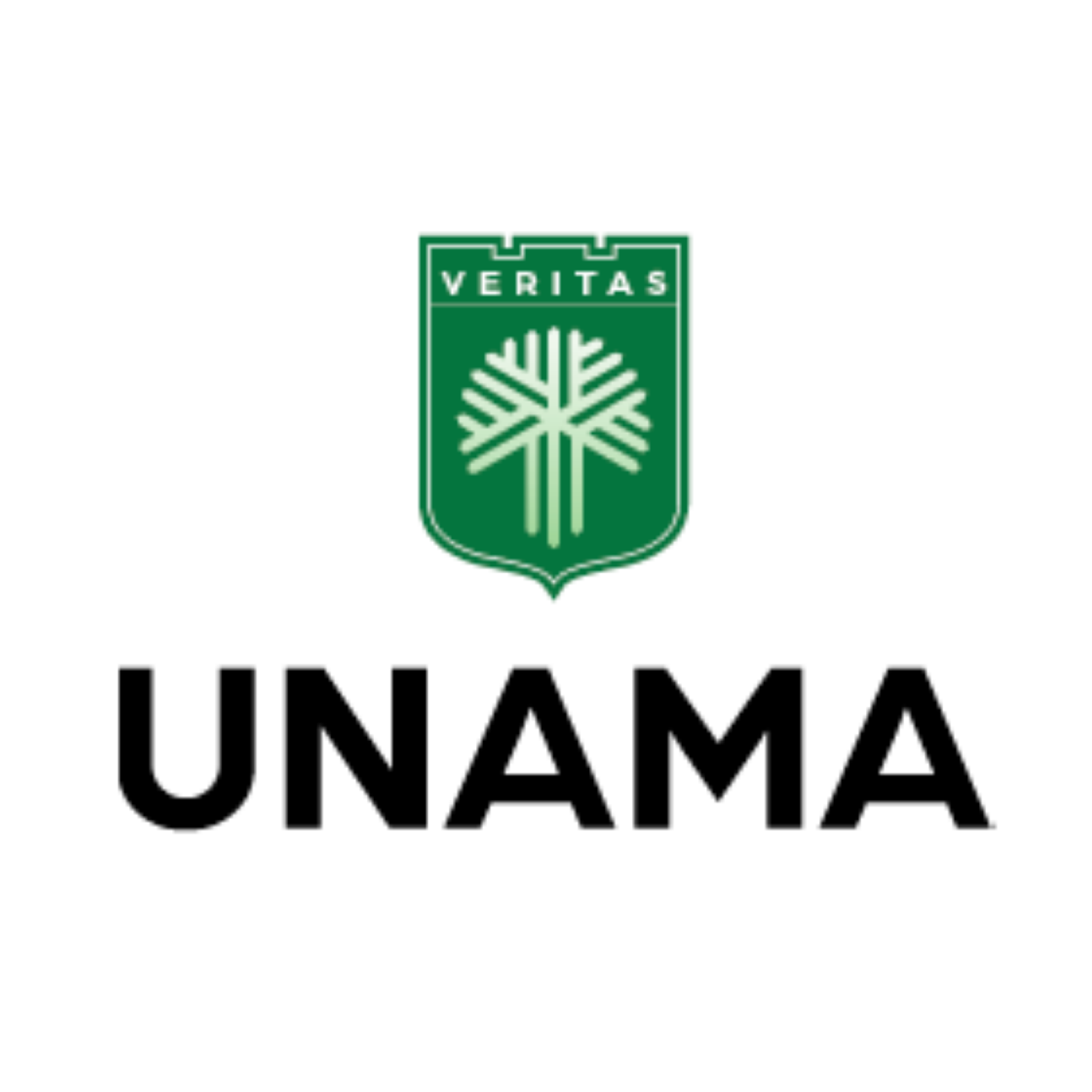 UNAMA — Universidade da Amazônia